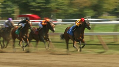 Классические конные скачки пройдут на ипподроме Алматы 30 июля