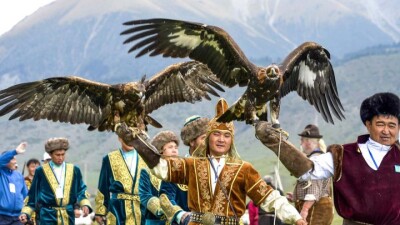 В 5-х Всемирных играх кочевников примут участие более 560 спортивных лошадей и около 45 птиц