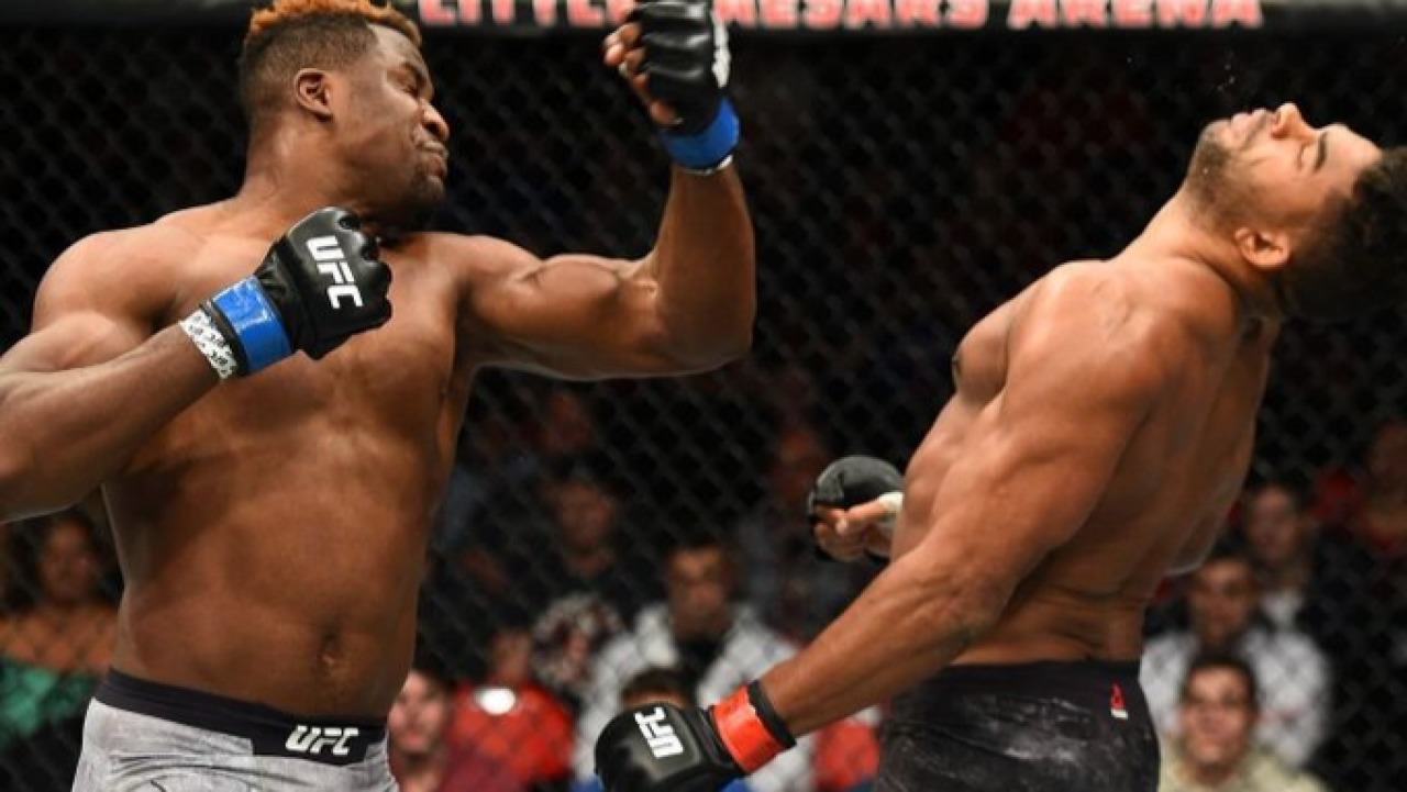 Фото: UFC