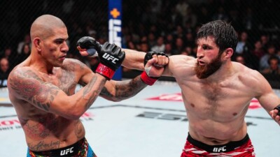 Анкалаев заявил, что Перейра отказался от реванша с ним на UFC 317