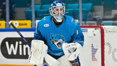 Прямая трансляция матча КХЛ "Барыс" – "Витязь"