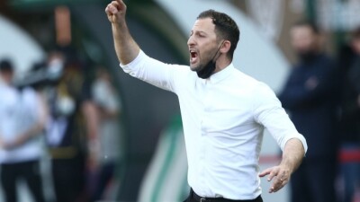 Сборная Бельгии осталась без главного тренера