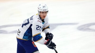 "Это было очень глупо": эксперт – об обращении хоккеистов "Барыса" к Токаеву