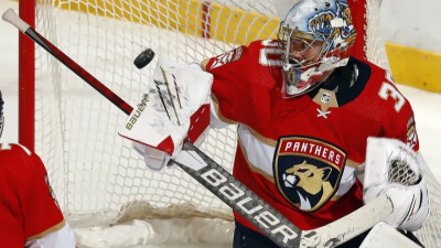 Совладелец клуба НХЛ грубо оскорбил канадцев в соцсетях