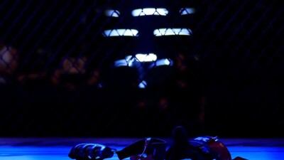 Дебютанты UFC теперь будут выступать со специальными нашивками