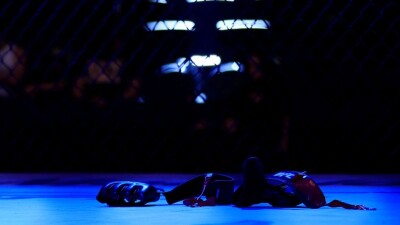 Опубликованы гонорары участников турнира UFC 317