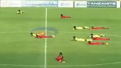 Матч в Танзании был остановлен из-за роя пчёл, футболистам пришлось лечь на газон